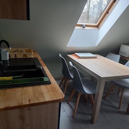 Pokoje, Apartament Na Wyspie Daire Gdansk Dış mekan fotoğraf